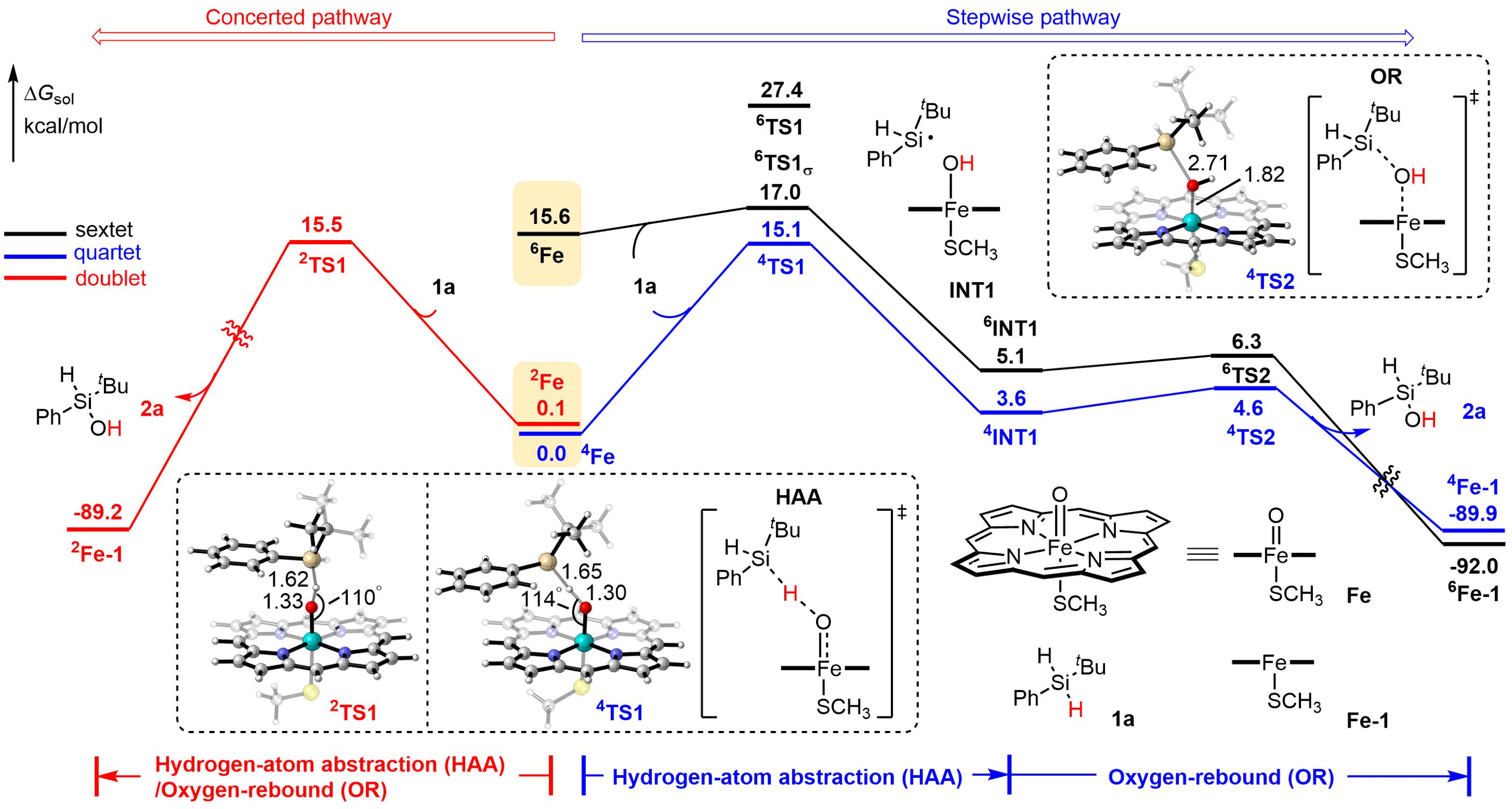 20250407-Angew. Chem. -刘臻-4. 基于密度泛函理论(DFT)进行的机理计算.jpg