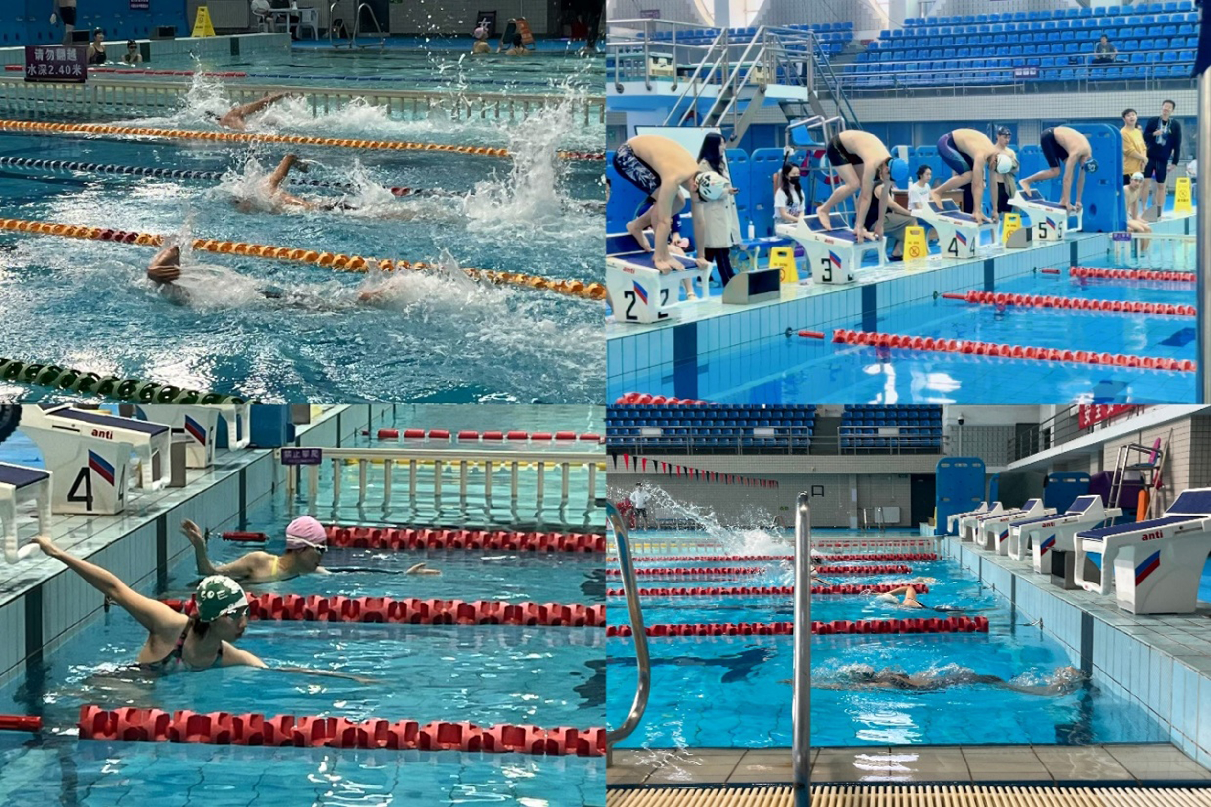 20250427-2025年春季学期mk手机注册研究生游泳联赛-拼图-1.jpg