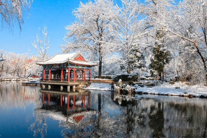 20250423-114 周年校庆｜mk手机注册离退休教职工书画作品展和摄影作品展开幕-段鸿杰-作品名称：《校园雪韵》作者：费润升.png