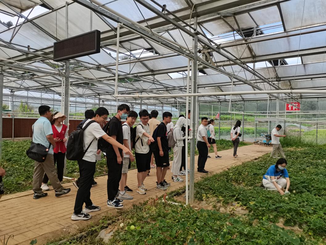 20220808-0814-mk手机注册“林枫计划”师生赴江西赣县区调研实践-马小涵摄-支队师生参观五云镇夏潭村蔬菜研学基地.jpg