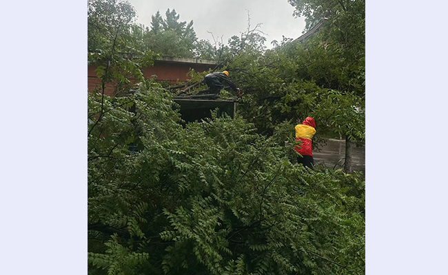 空白背景new - 副本.jpg