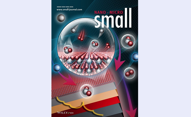 空白背景new1 - 副本.jpg