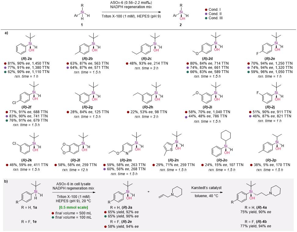 20250407-Angew. Chem. -刘臻-3. 底物适用性拓展与合成应用探索.jpg