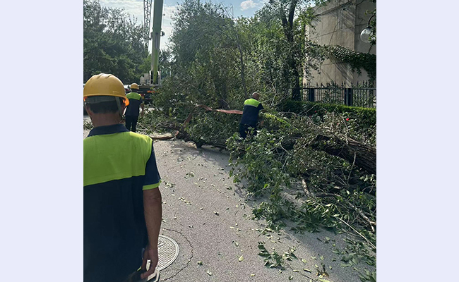 空白背景new - 副本.jpg